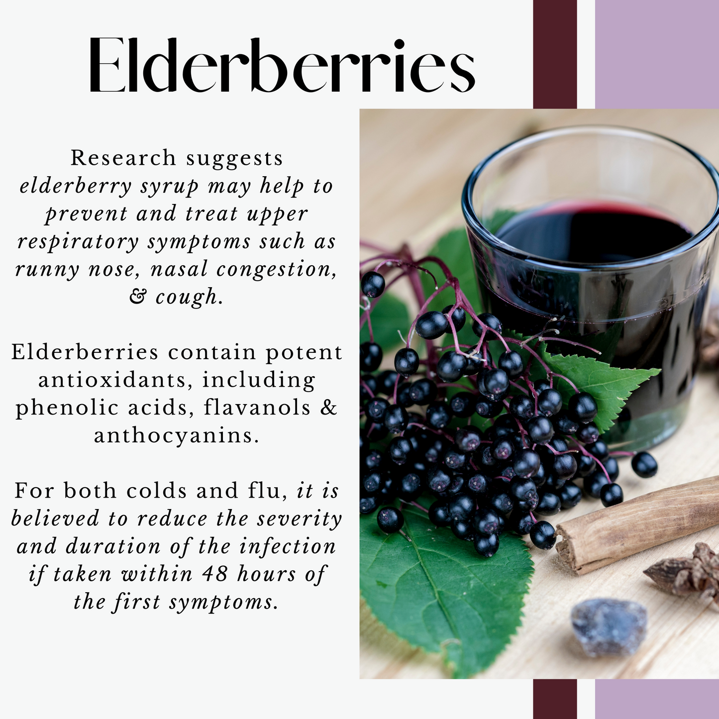 Elderberry + Oregano Elixir