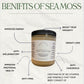 Sea Moss Gel